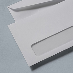 Window Front Envelope Detail