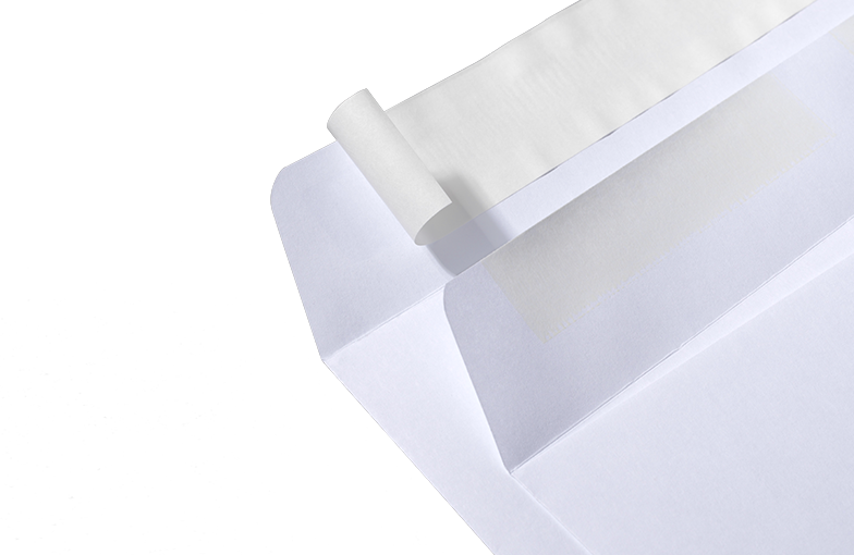 10x13 Envelope